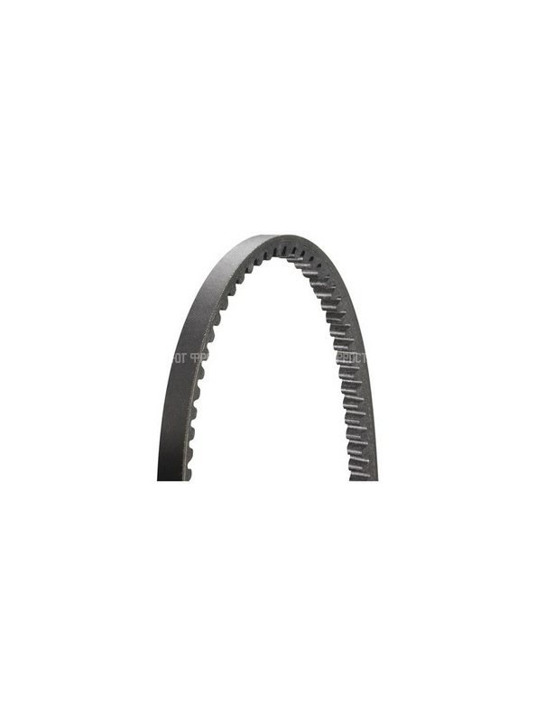 Ремень водяной помпы Thermo King MD/KD-II / TS-200/300