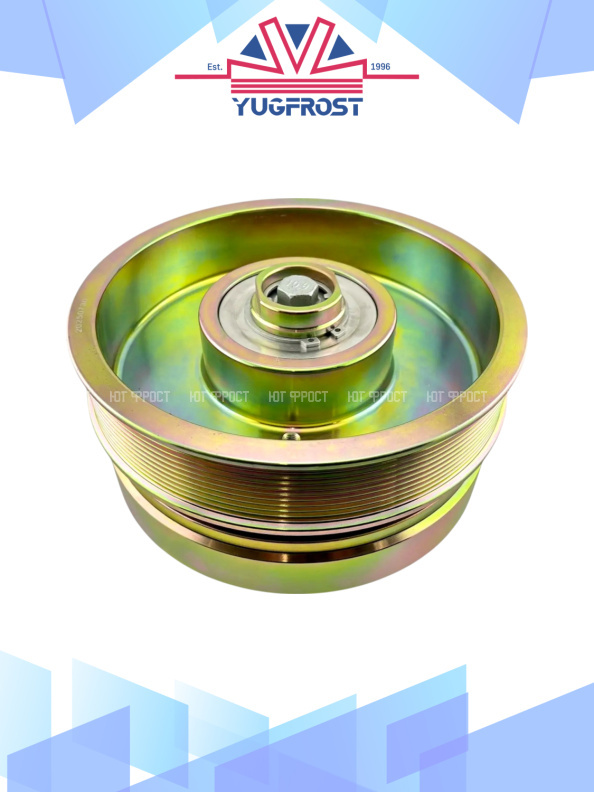 Муфта электромагнитная компрессора (сцепление) Bock, BITZER, SETRA, Konvekta 227.8 мм, 10PK, 24V