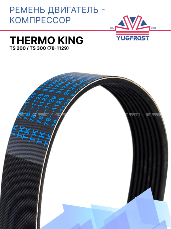 Ремень двигатель - компрессор TS 200 / TS 300 Thermo King