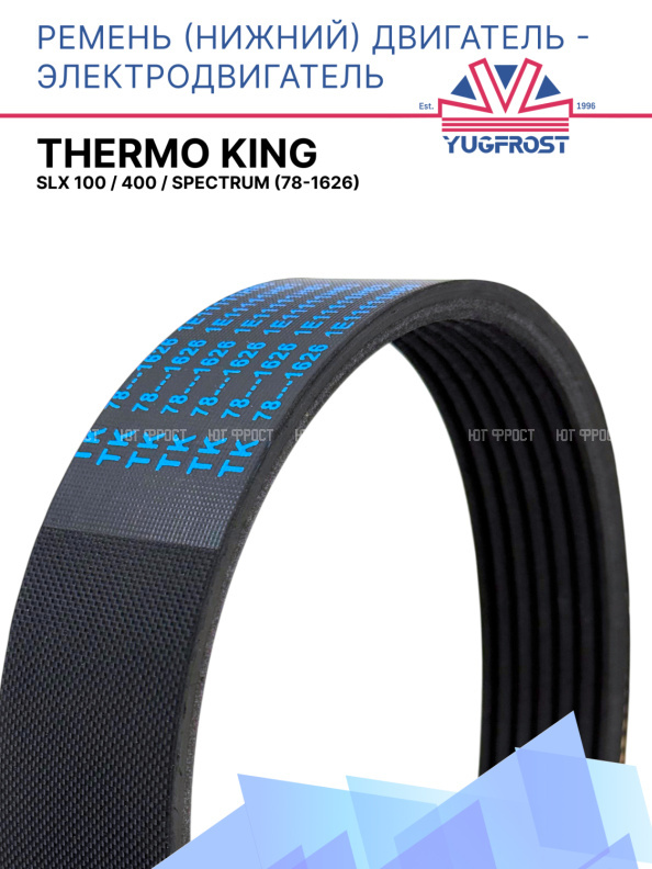 Ремень двигатель - электродвигатель (нижний)  Thermo King  SLX 100 / 400 / Spectrum