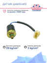 Датчик давления 2-х контактный HP:26 kg/cm² OFF LP:2 kg/cm² OFF (наруж.резьба) фото 3