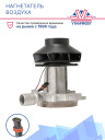 Нагнетатель воздуха Eberspacher Airtronic D2 24V 252070992000 фото 2